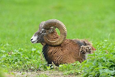 《露营Vlog模拟器2024》登陆Steam 风光无限在露营